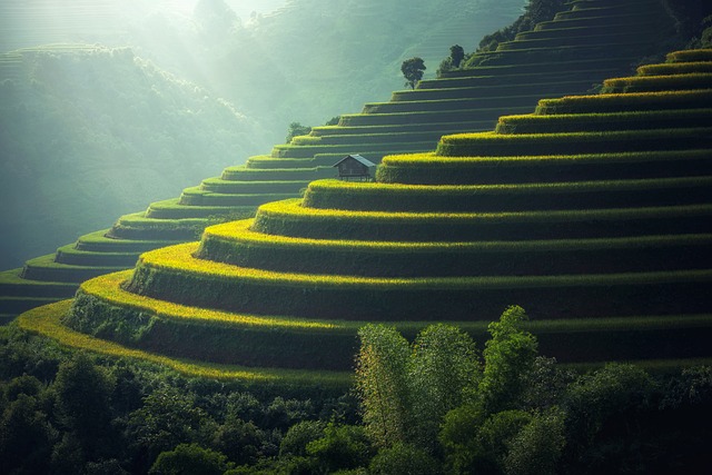 Paisajismo con piedras: ideas y consejos para transformar tu jardín